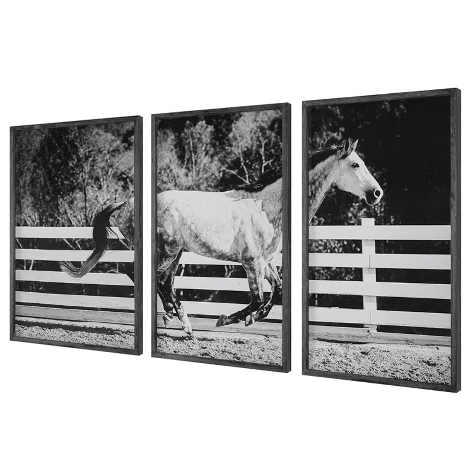 Galloping Forward Equine Prints, Set/3 by Uttermost