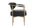 HELOISE DINING ARMCHAIR - BRAVO BLACK by Sunpan