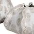 Urchin Textured Ivory Vases, S/2 by Uttermost