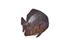 Australian Batfish Fish Wall Sculpture, Copper Patina by PHILLIPS COLLECTION