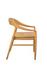 Natural Townsend Arm Chair by Furniture Classics