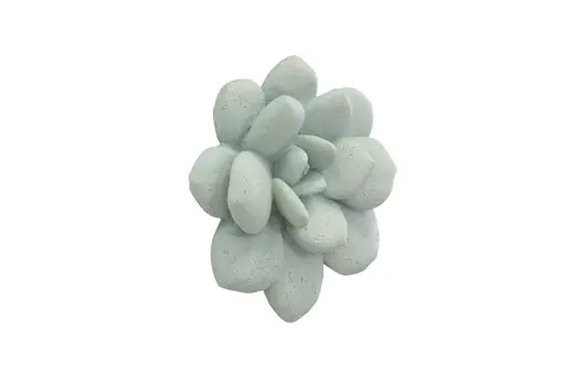 Laui Succulent Wall Art, Sage by PHILLIPS COLLECTION