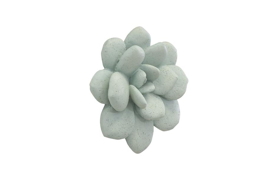 Laui Succulent Wall Art, Sage by PHILLIPS COLLECTION