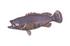 Estuary Cod Fish Wall Sculpture, Copper Patina by PHILLIPS COLLECTION