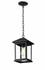 Portland 1 Light Outdoor Chain Light in Black Finish by Z-Lite