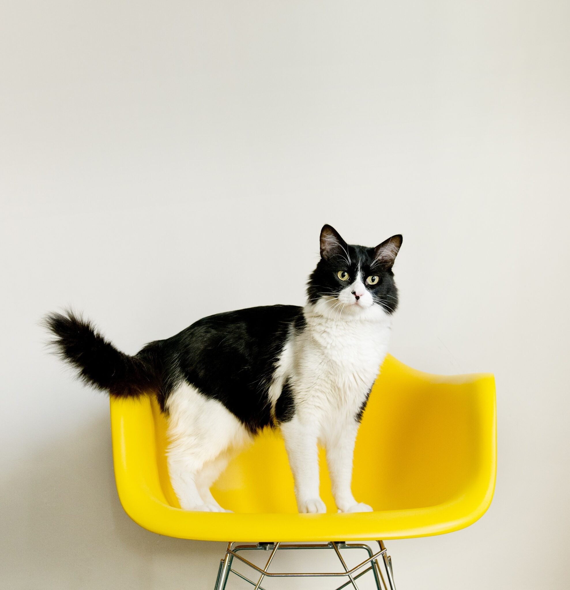 Three Reasons Why Mid-Century Modern Furniture is More Than Just Design