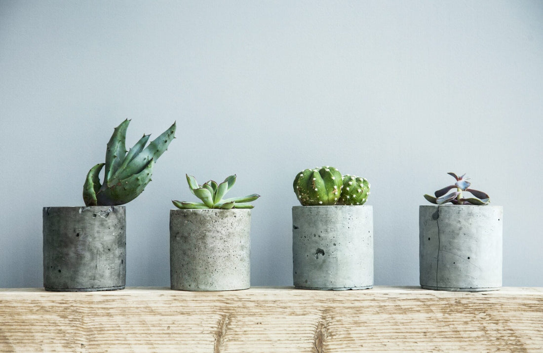 Why Concrete is Here to Stay