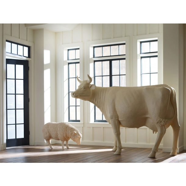 Zodiac Signs and Interior Design
