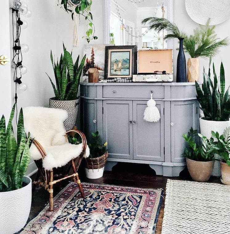 Seven Accessories You’ll Find in Millennial Homes
