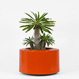 Outdoor Accessories