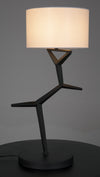 Arizona Lamp with Shade