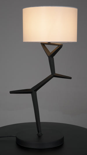 Arizona Lamp with Shade