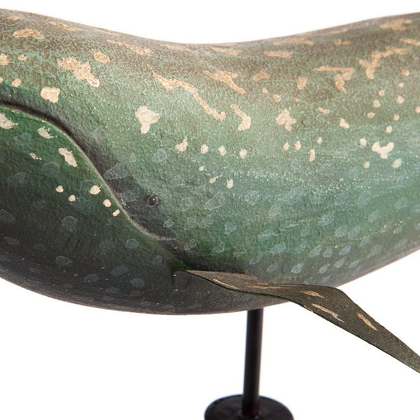 Model Whale
