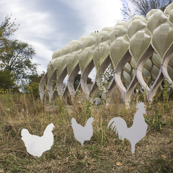 Modern Rooster Silhouette