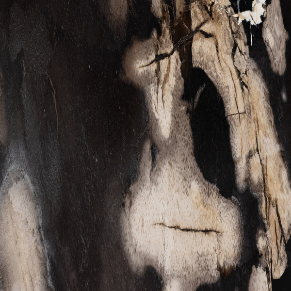Bevin End Table - Dark Petrified Wood