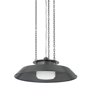WOODROW Pendant