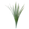 Liriope 23"H Grass Bunch
