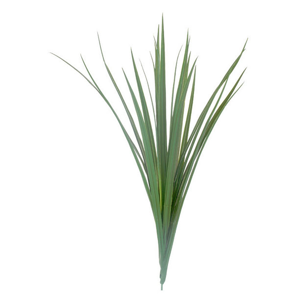 Liriope 23"H Grass Bunch