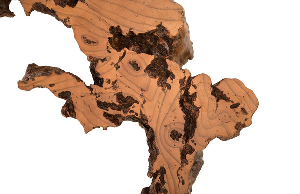 Burled Root Wall Art, Faux Bois, MD