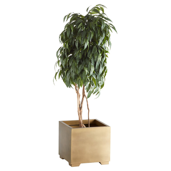 Aster Planter