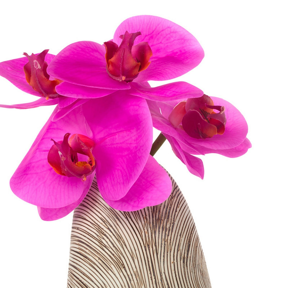 Contour Organic Vase with Fuchsia Phalaenopsis Orc
