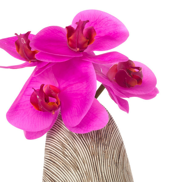 Contour Organic Vase with Fuchsia Phalaenopsis Orc