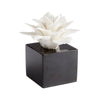 Large Calendine Sculpture In White