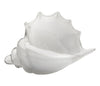 Triton Hand Blown Decorative Glass Shell, White