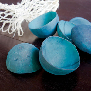 Coconut Shells,Turquoise