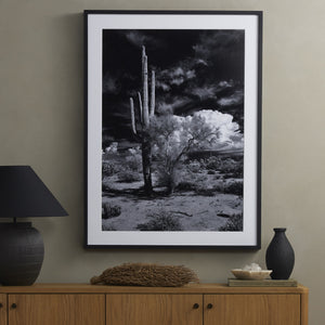 Sonoran Desert By Getty In Black 2.5 Maple