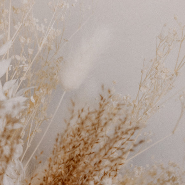 Dried Floral Dyptich By Annie Spratt