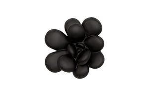 Oviferum Succulent Wall Art, Smallooth Matte Black