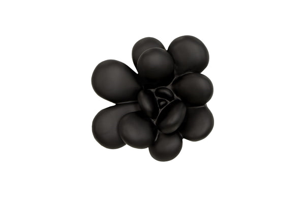 Oviferum Succulent Wall Art, Smallooth Matte Black