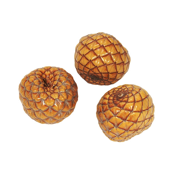 Uxi Pod, 50/bag, Natural