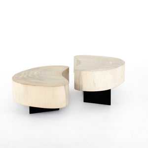 Avett Coffee Table In Bleached Guanacaste