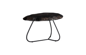 Mosaic Leaf Petrified Coffee Table, Smallallall