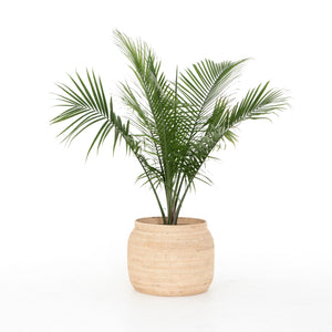 Ansel Natural Basket In Natural Finish