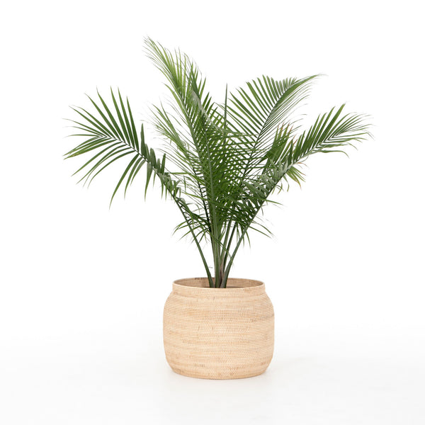 Ansel Natural Basket In Natural Finish