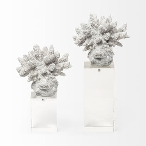 Isla (Large) 5L x 5W White Replica Resin Coral On Clear White Glass