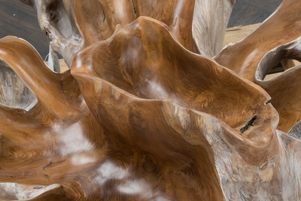 Hailey Teak Root/Glass Coffee Table - Natural White Wash