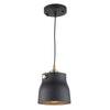 Euro Industrial AC11361VB Pendant in Matte Black & Harvest Brass
