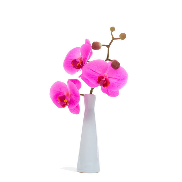 Orchid 10.5"H Budvase