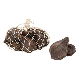 Nipa Fruit