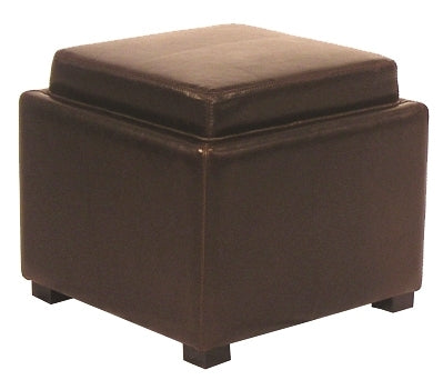 Cameron Square Leather Storage Ottoman w/ tray In Brown