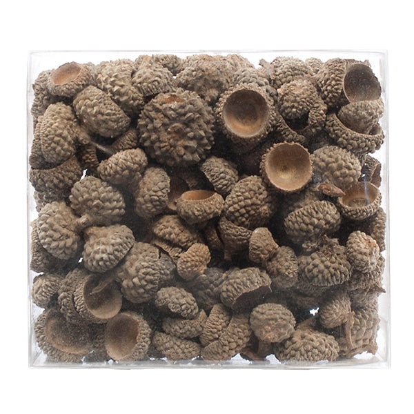 Acorn Caps, +/- 120 pieces