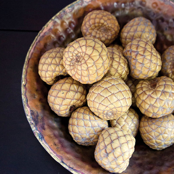 Uxi Pod, 50/bag, Natural