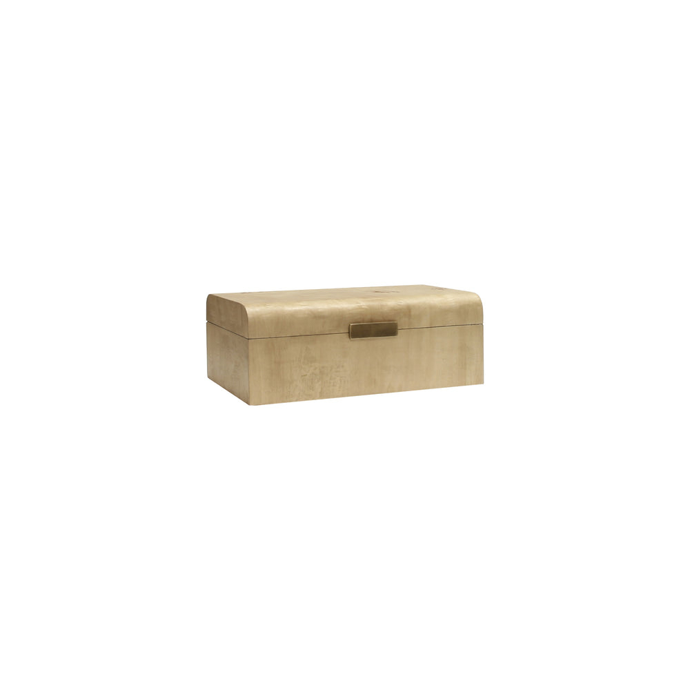 BURL WOOD BOX WITH  ANTIQUE BRASS DETAIL
