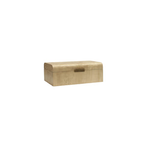 BURL WOOD BOX WITH  ANTIQUE BRASS DETAIL