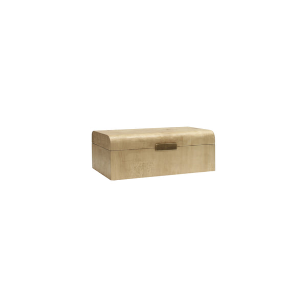 BURL WOOD BOX WITH  ANTIQUE BRASS DETAIL