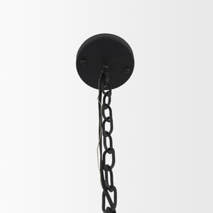 Edie Matte Black Metal w/ Frosted Glass Globes 6-Light Chandelier